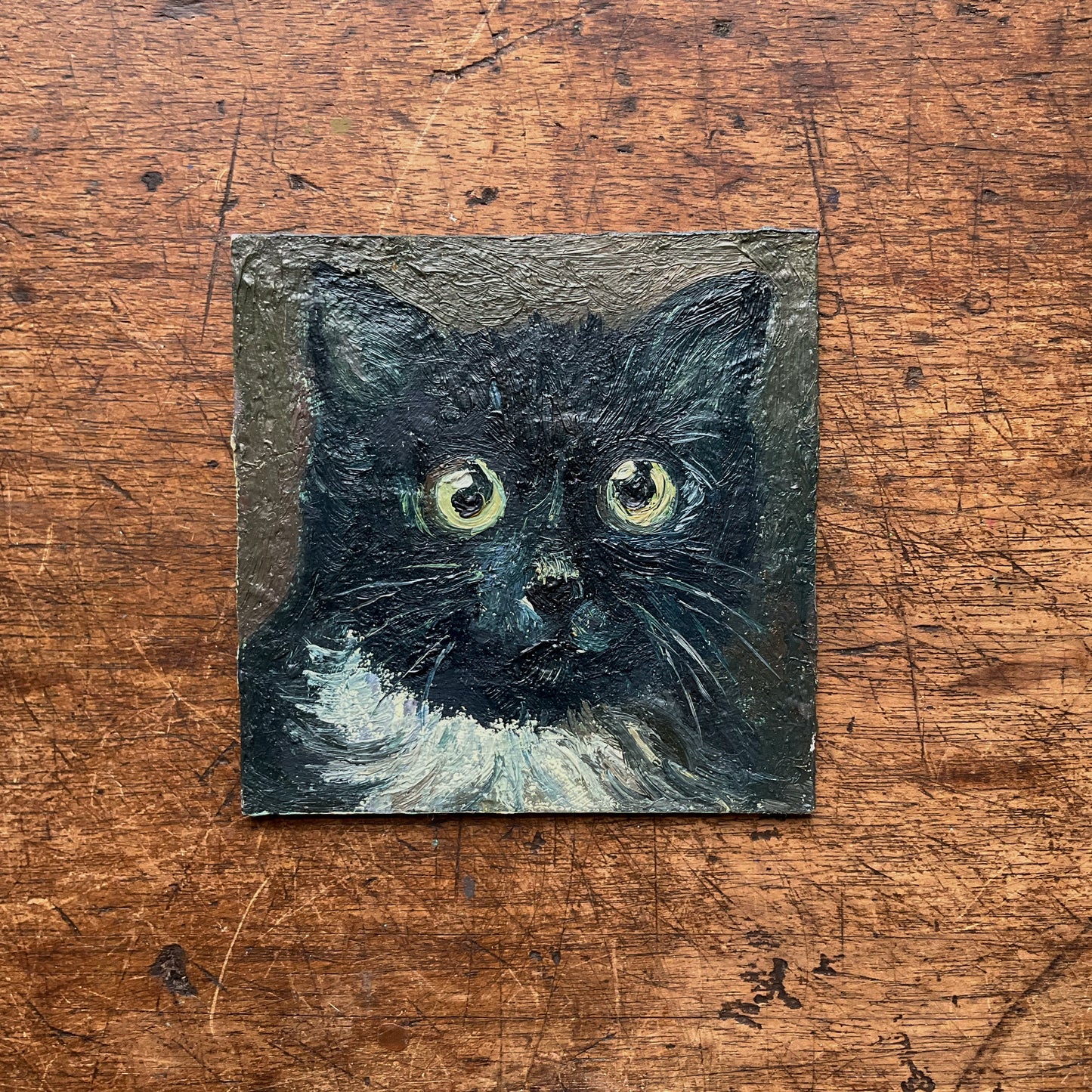 Mini Cat, Tuxedo Cat