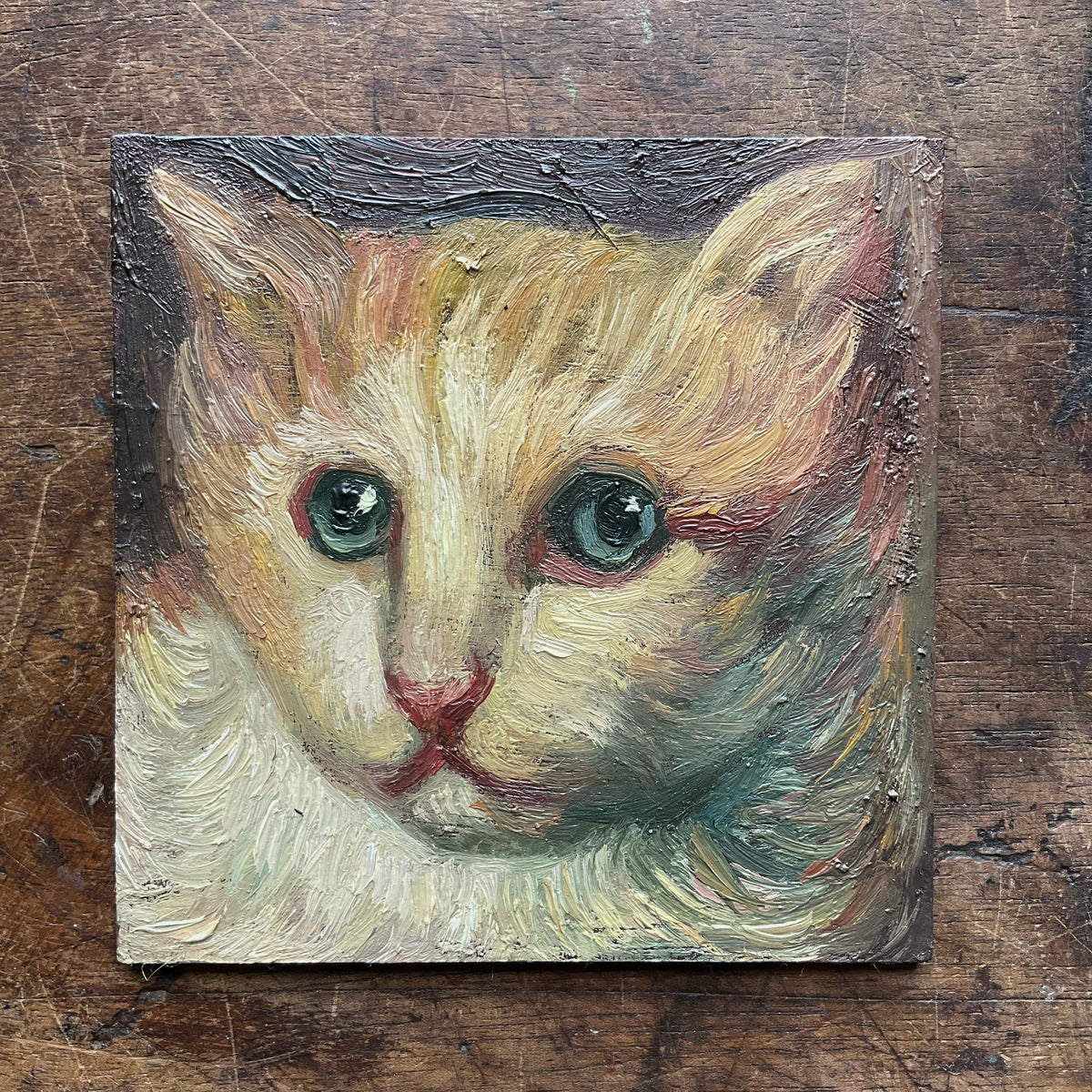 Yellow and White Cat