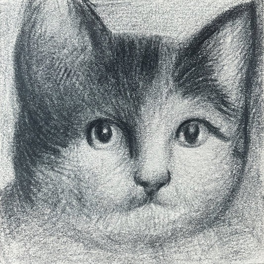 Mini Cat 011