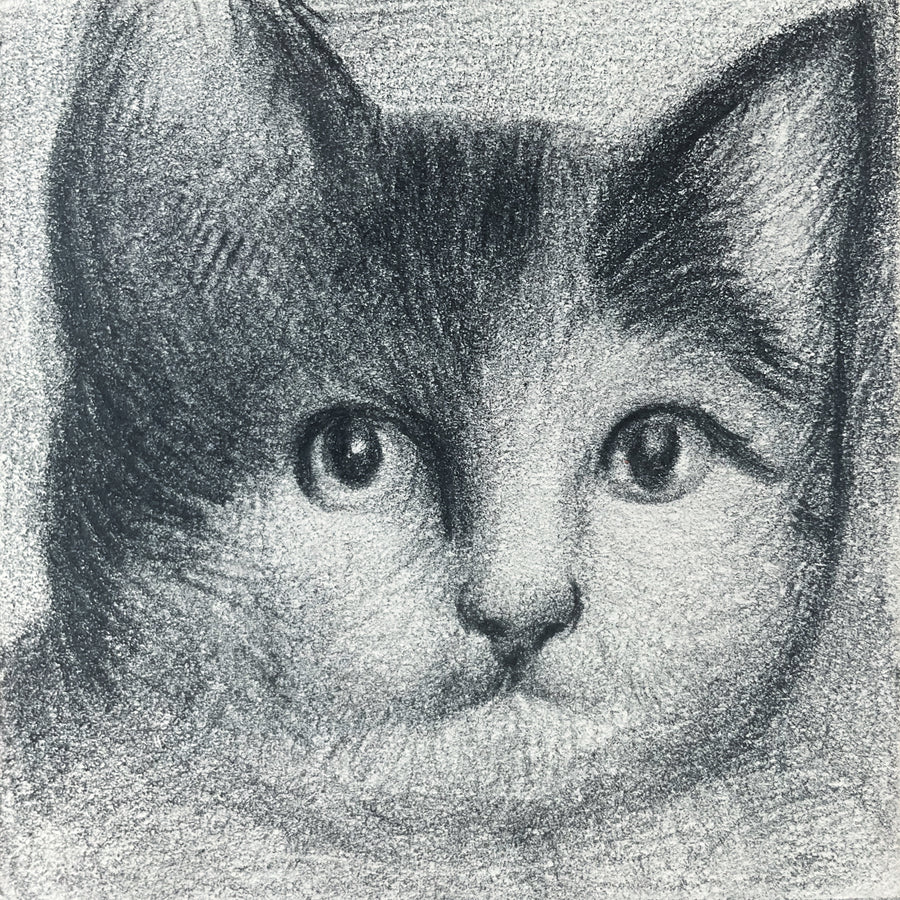 Mini Cat 011