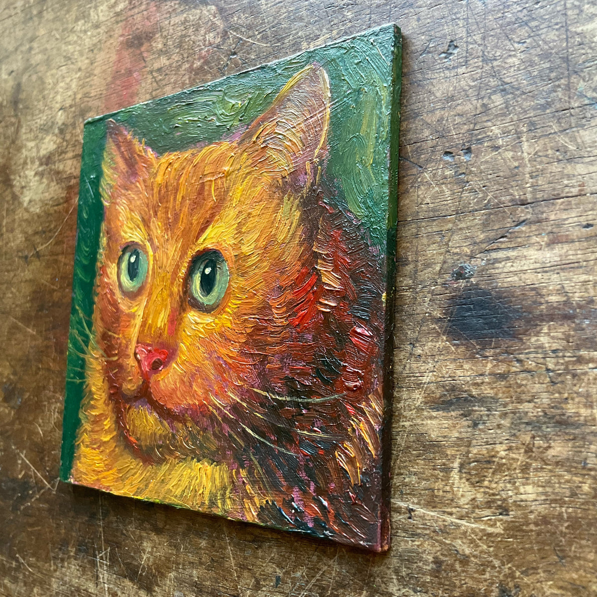 Orange Cat with Green Eyes in Green