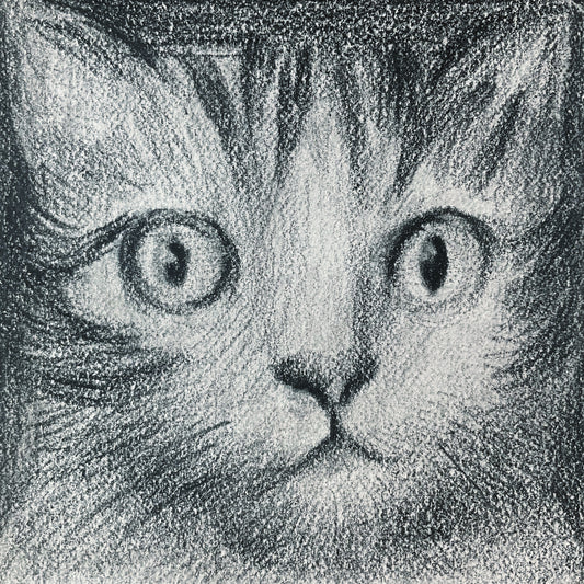 Mini Cat 003