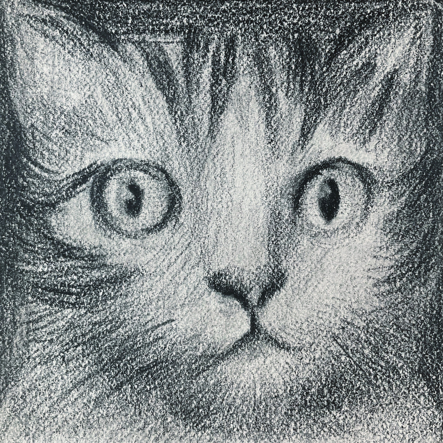 Mini Cat 003