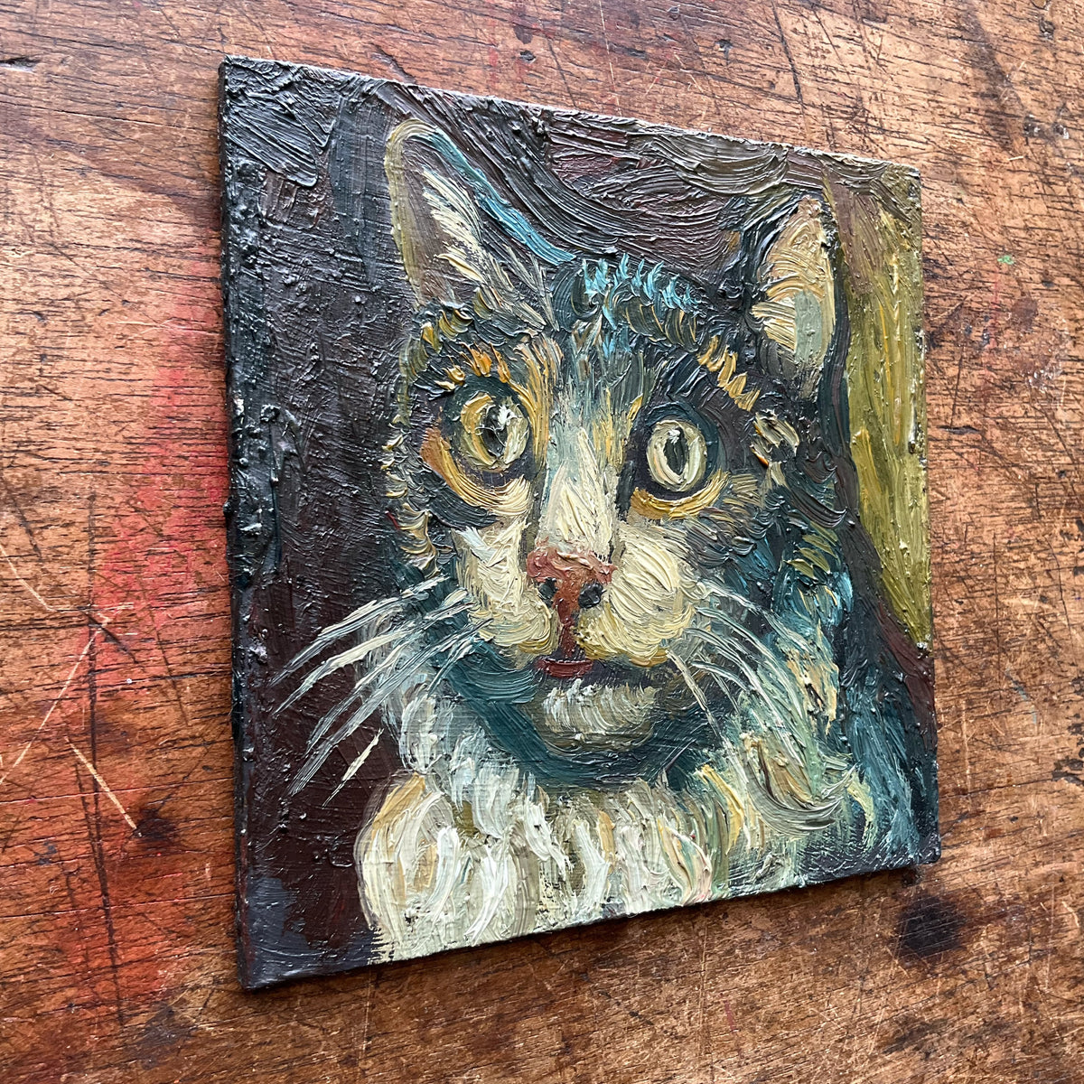 Cat with Long Whiskers