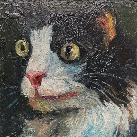 Mini Cat with Yellow Eyes
