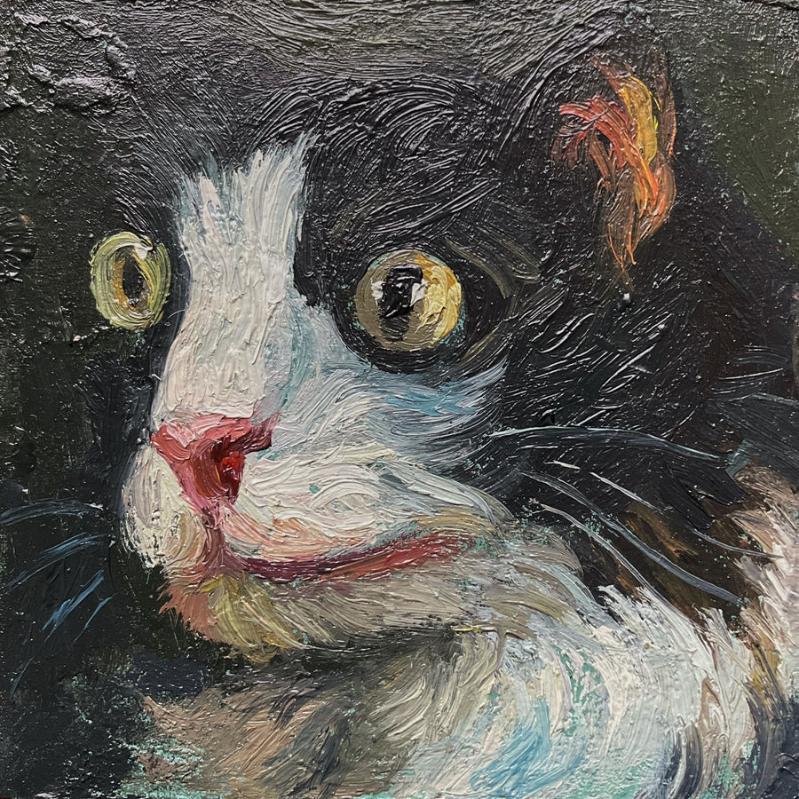 Mini Cat with Yellow Eyes