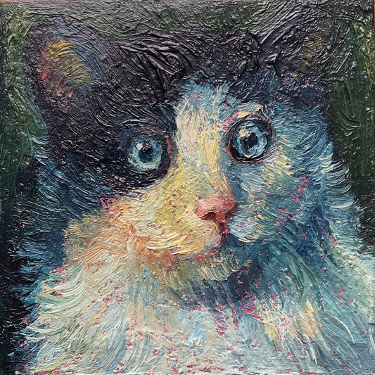 Mini Cat, Blue White and Black