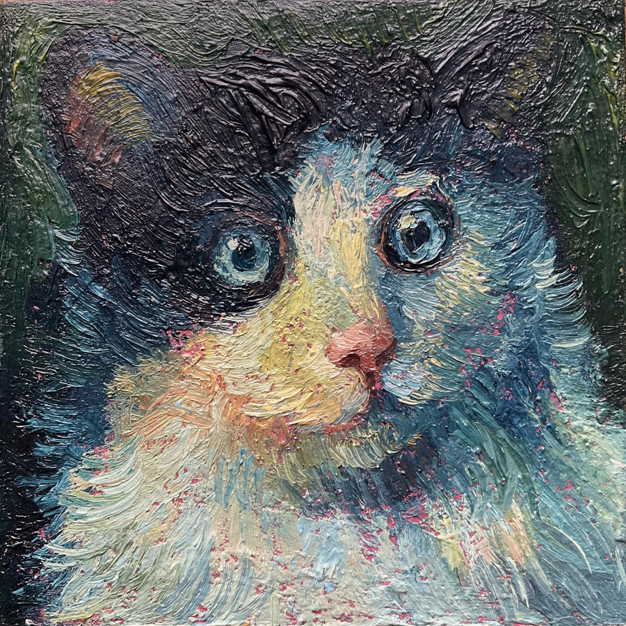 Mini Cat, Blue White and Black