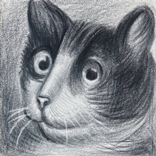 Mini Cat 010