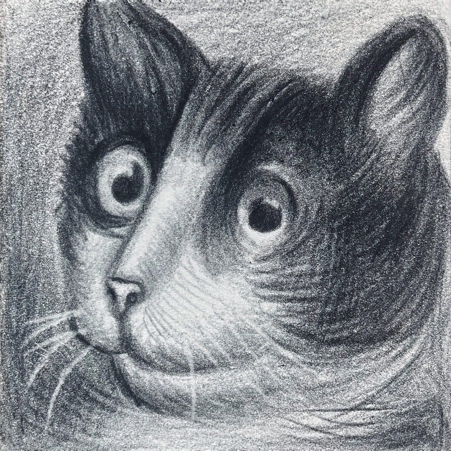 Mini Cat 010